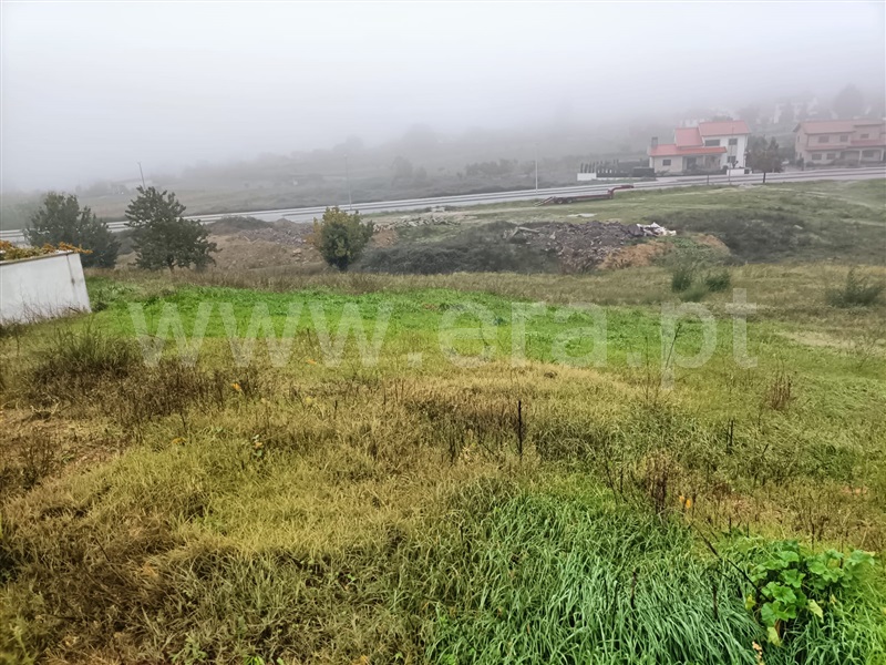 Lote  Valpaços, Carrazedo de Montenegro e Curros - 1366165 - 3