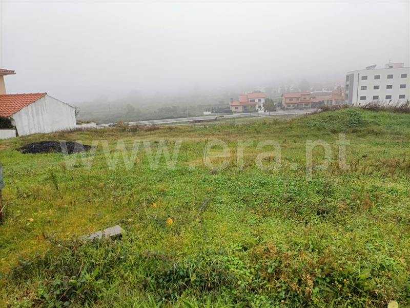 Lote  Valpaços, Carrazedo de Montenegro e Curros - 1366165 - 4