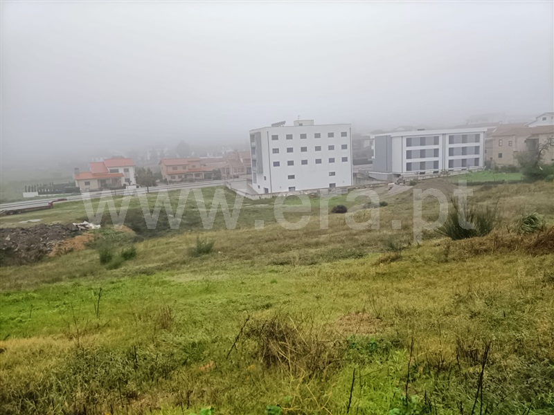 Lote  Valpaços, Carrazedo de Montenegro e Curros - 1366165 - 6