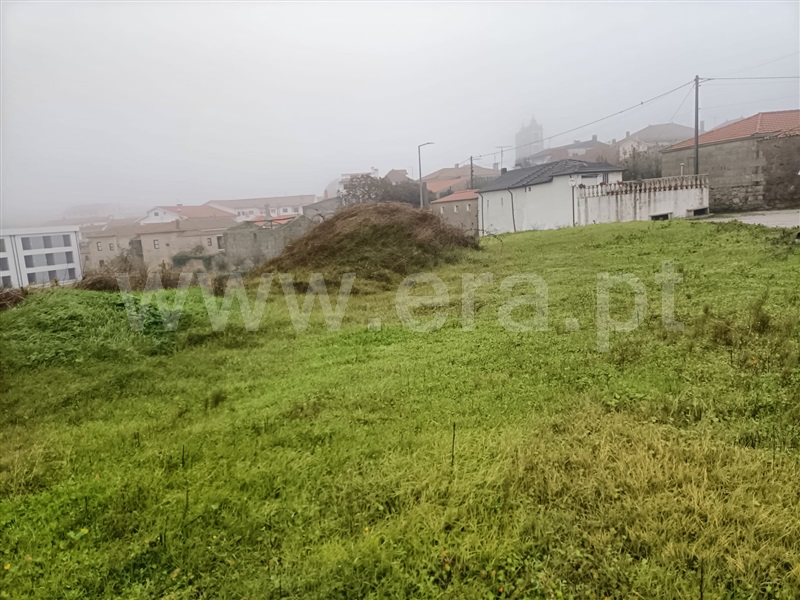 Lote  Valpaços, Carrazedo de Montenegro e Curros - 1366165 - 7