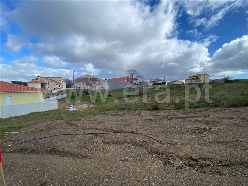 Lote  Valpaços, Carrazedo de Montenegro e Curros - 1385730 - 7