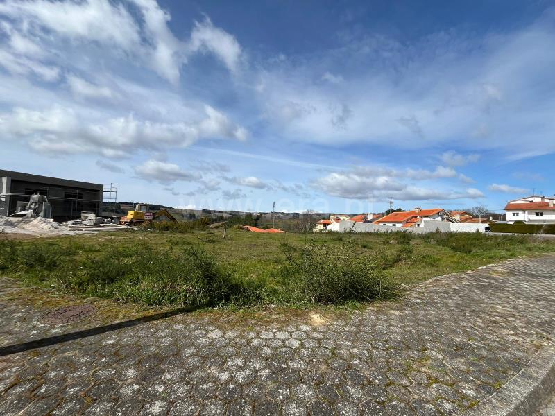 Lote / Valpaços, Carrazedo de Montenegro e Curros