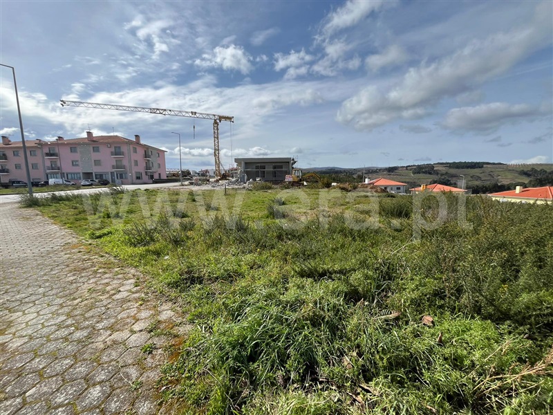 Lote  Valpaços, Carrazedo de Montenegro e Curros - 1385731 - 4
