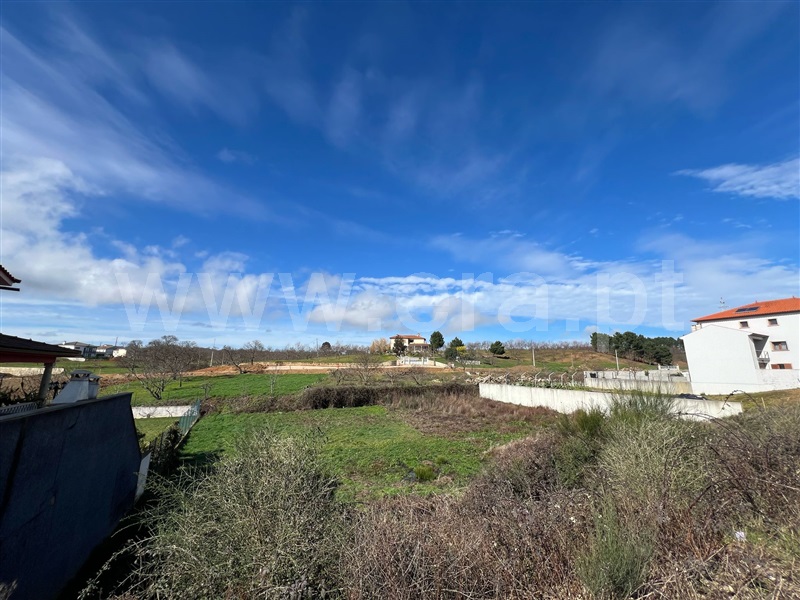 Lote  com Urbano Valpaços, Carrazedo de Montenegro e Curros - 1461840 - 6