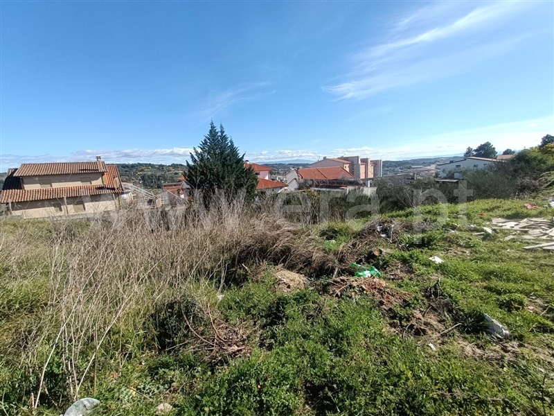 Lote  Valpaços, Valpaços e Sanfins - 1381805 - 3