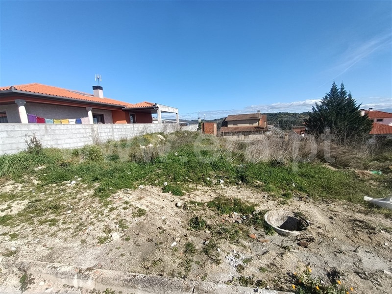Lote  Valpaços, Valpaços e Sanfins - 1381805 - 4