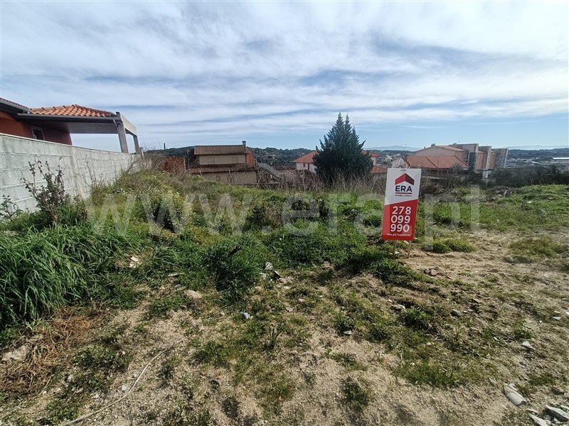 Lote  Valpaços, Valpaços e Sanfins - 1381805 - 8