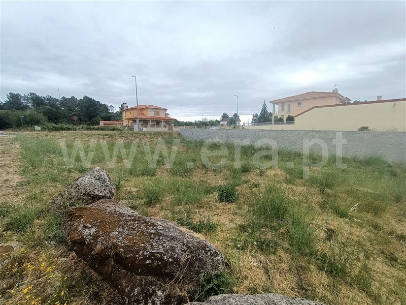 Lote  Valpaços, Valpaços e Sanfins - 1407116 - 5
