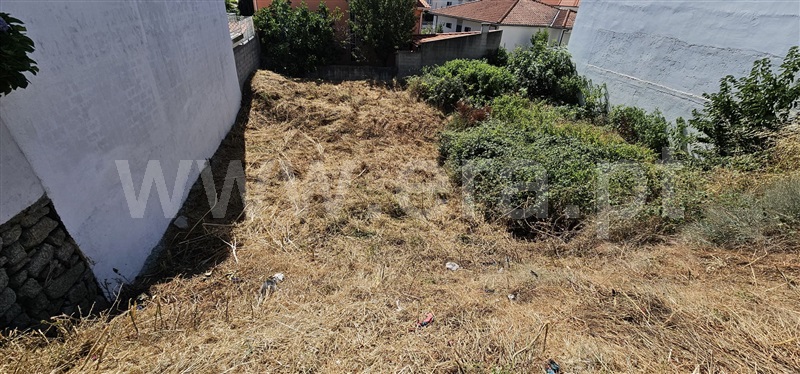 Lote  Valpaços, Valpaços e Sanfins - 1415313 - 3