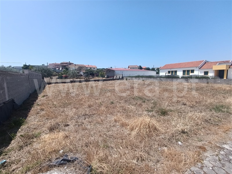 Lote  Valpaços, Valpaços e Sanfins - 1488109 - 3