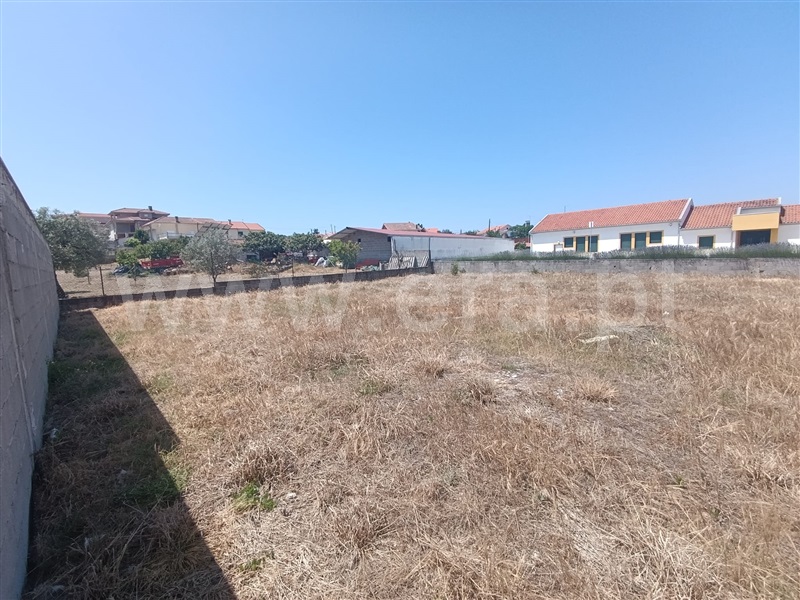 Lote  Valpaços, Valpaços e Sanfins - 1488109 - 5