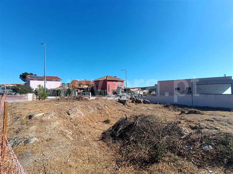 Lote  Valpaços, Valpaços e Sanfins - 1504074 - 5