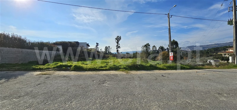 Lote / Valpaços, Vassal
