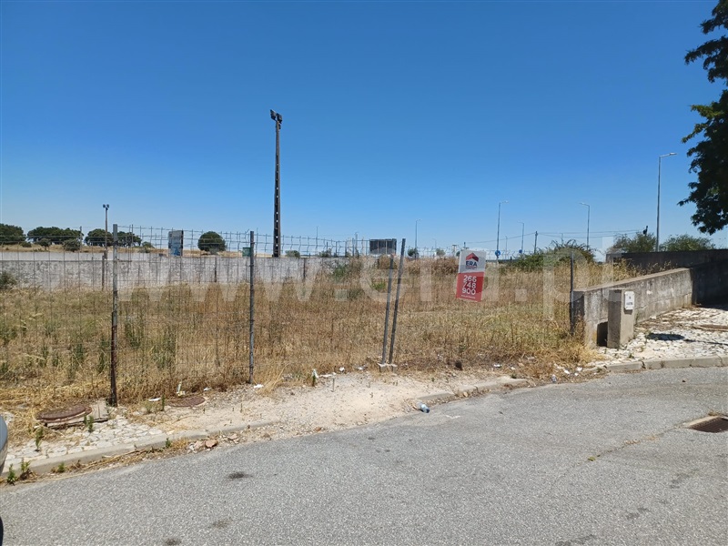 Lote  Viana do Alentejo, Aguiar - 1417352 - 3