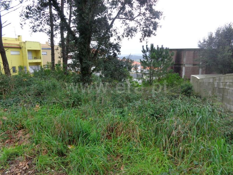 Lote  Viana do Castelo, Anha - 703860 - 2