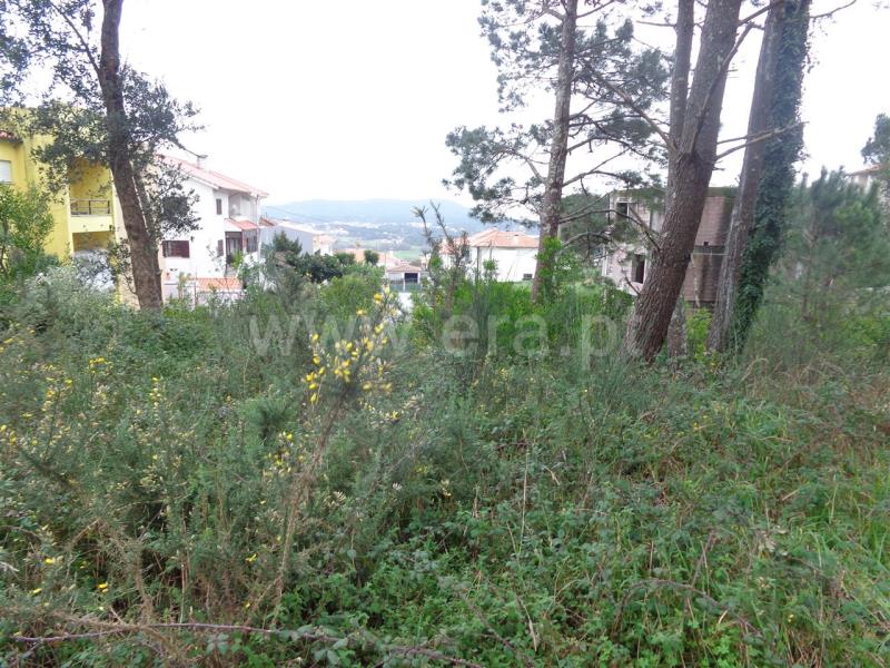 Lote  Viana do Castelo, Anha - 703860 - 3