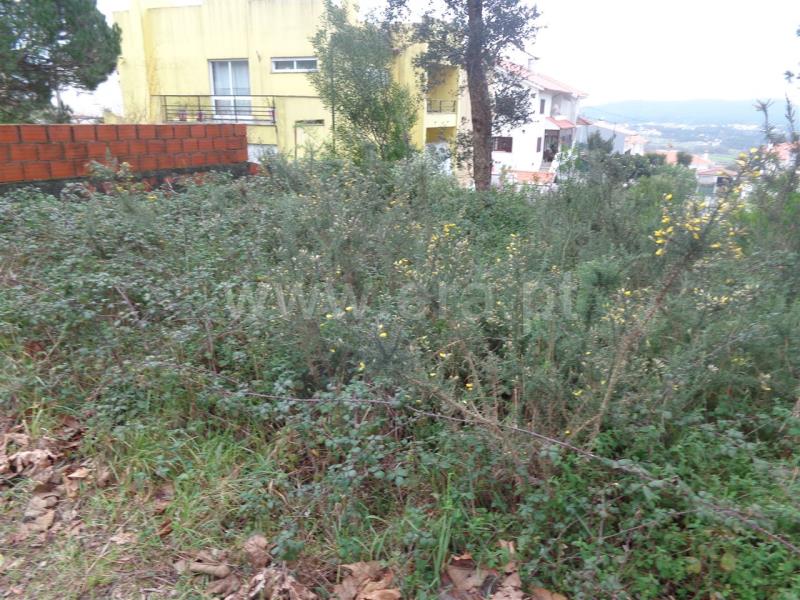 Lote  Viana do Castelo, Anha - 703860 - 4