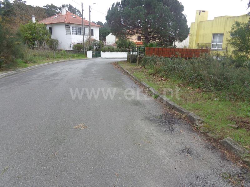 Lote  Viana do Castelo, Anha - 703860 - 5