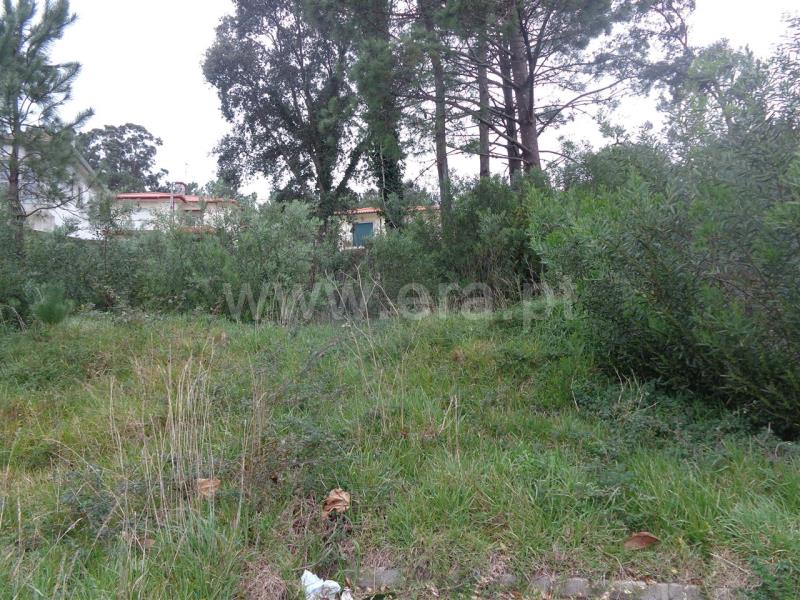 Lote  Viana do Castelo, Anha - 703860 - 7