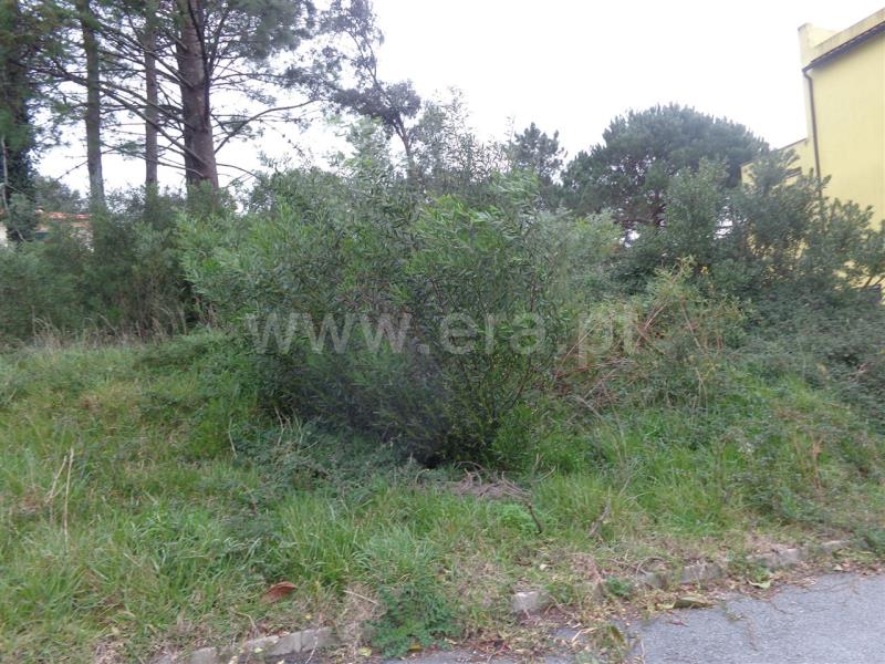 Lote  Viana do Castelo, Anha - 703860 - 8
