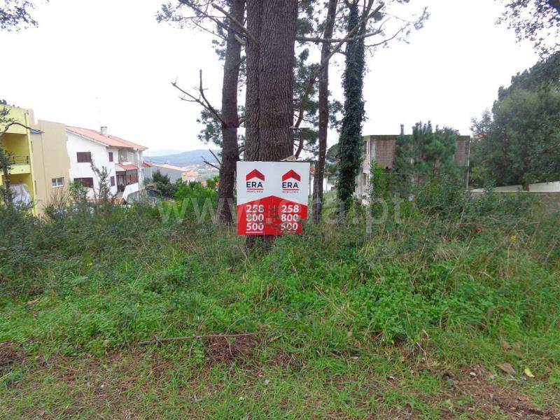 Lote  Viana do Castelo, Anha - 703860 - 9