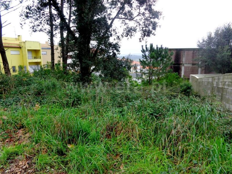 Lote  Viana do Castelo, Anha - 759483 - 2