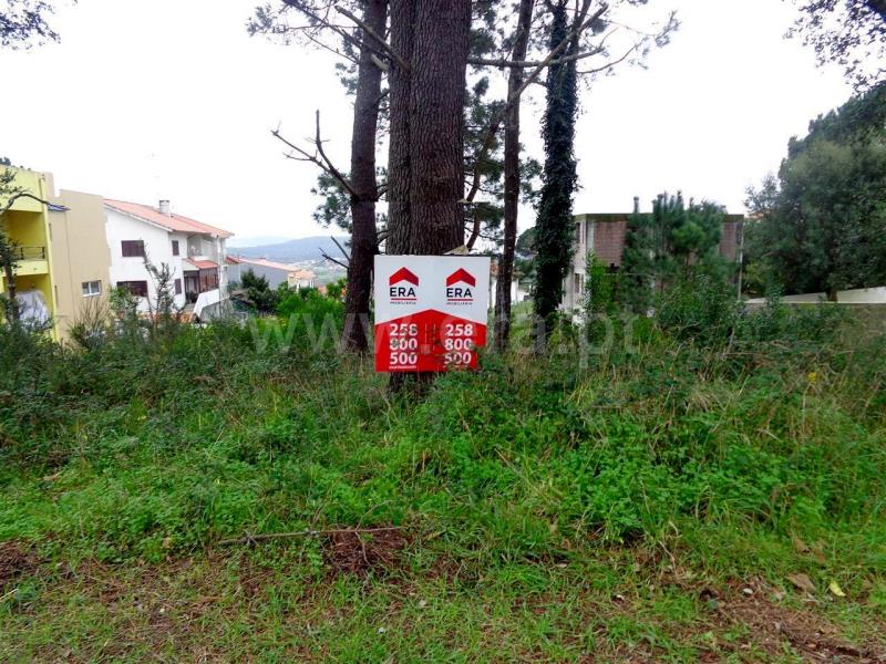 Lote / Viana do Castelo, Anha