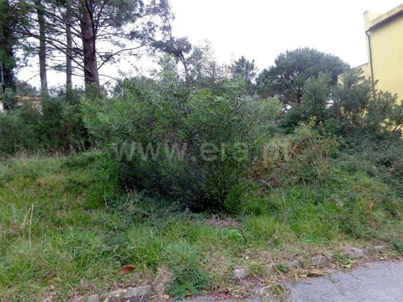 Lote  Viana do Castelo, Anha - 759483 - 5