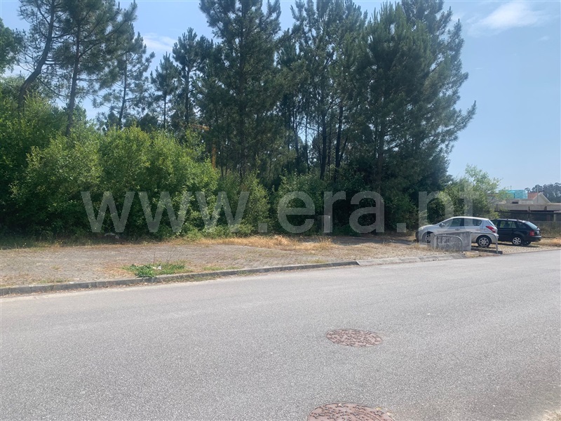 Lote / Viana do Castelo, Barroselas e Carvoeiro