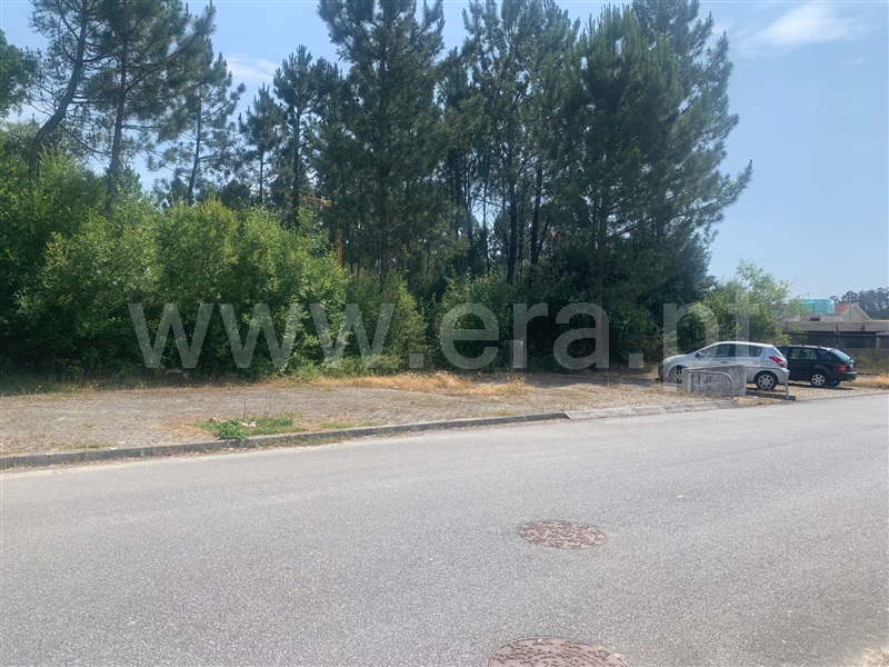 Lote  Viana do Castelo, Barroselas e Carvoeiro - 1333168 - 3