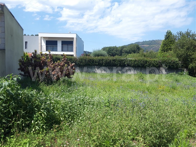Lote  Viana do Castelo, Barroselas e Carvoeiro - 1425118 - 1