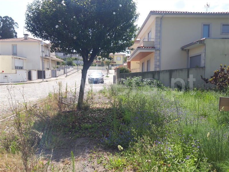Lote  Viana do Castelo, Barroselas e Carvoeiro - 1425118 - 2