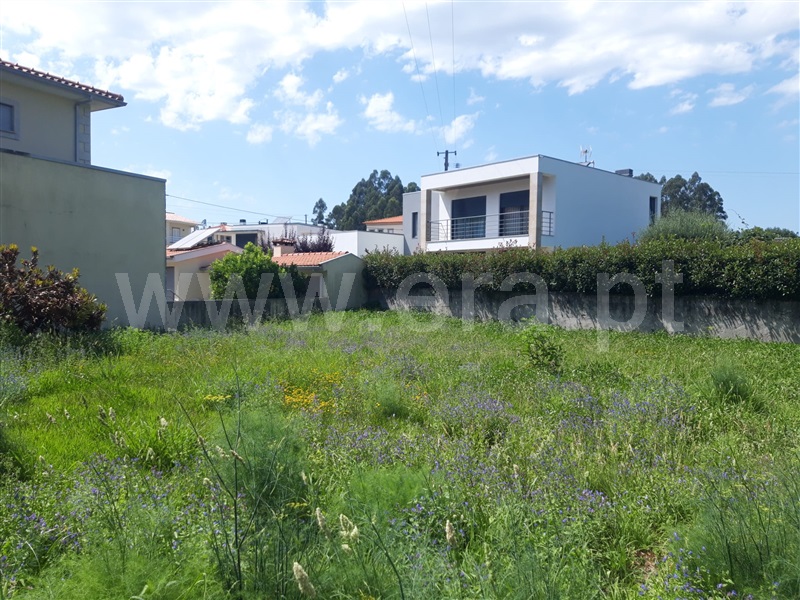 Lote / Viana do Castelo, Barroselas e Carvoeiro
