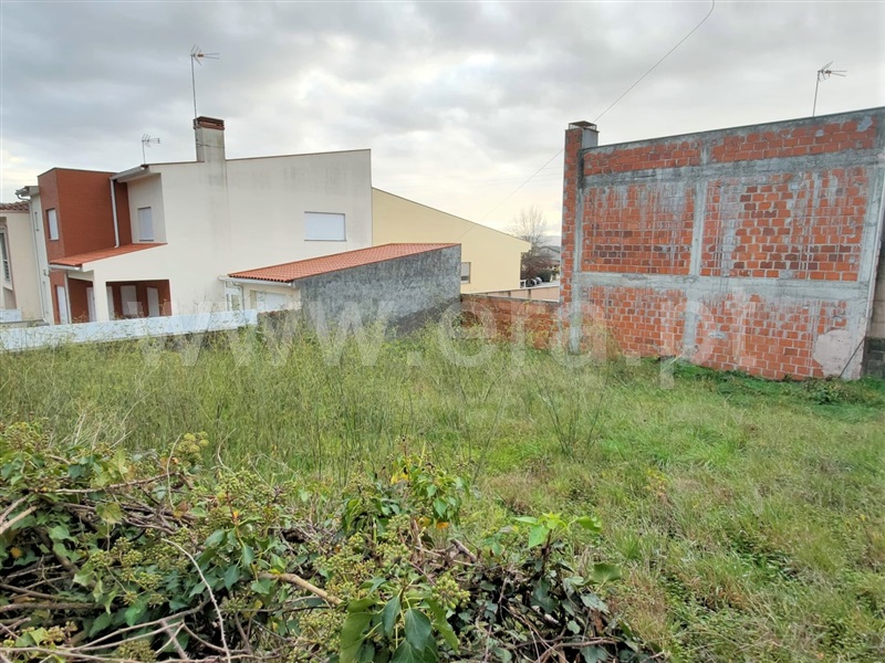 Lote / Viana do Castelo, Barroselas