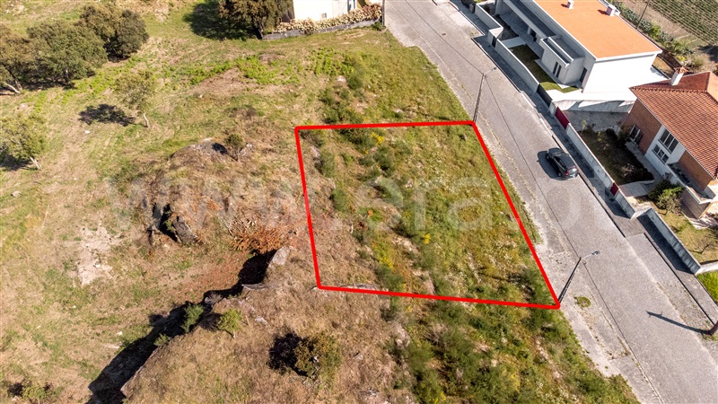 Lote  Viana do Castelo, Cardielos e Serreleis - 1319367 - 5