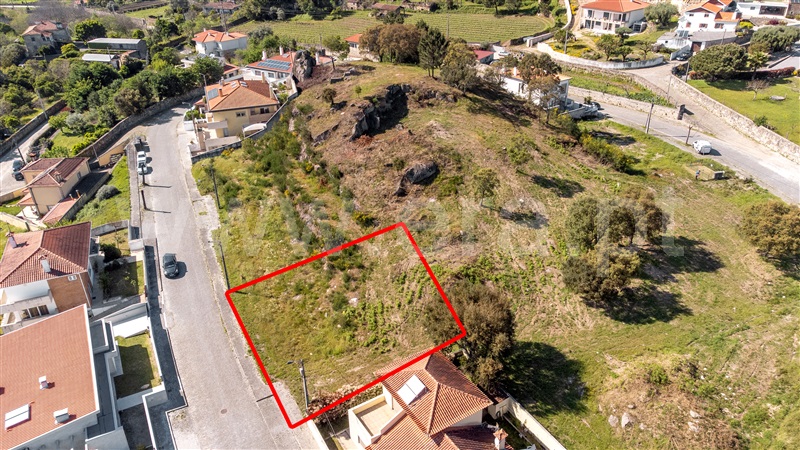 Lote  Viana do Castelo, Cardielos e Serreleis - 1319390 - 2