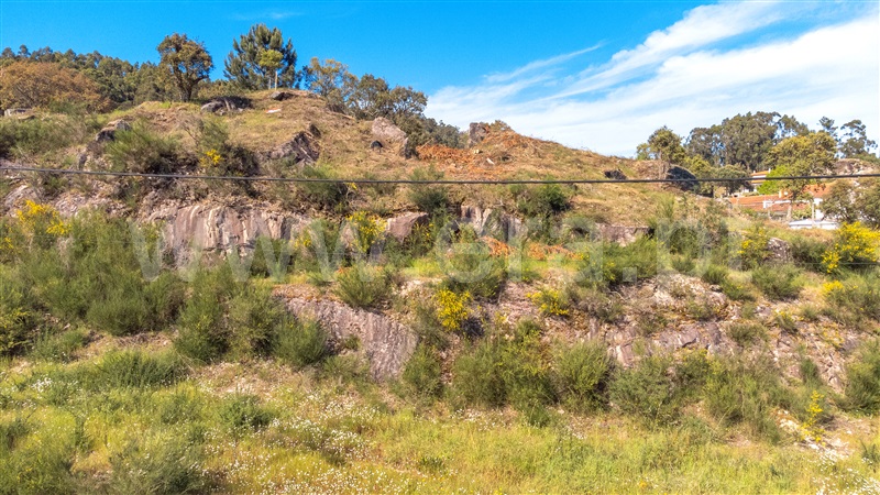 Lote  Viana do Castelo, Cardielos e Serreleis - 1319390 - 7