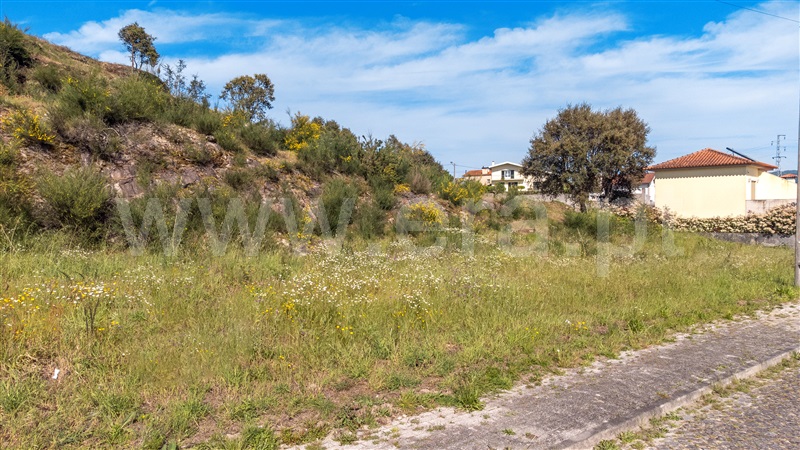 Lote  Viana do Castelo, Cardielos e Serreleis - 1319390 - 8