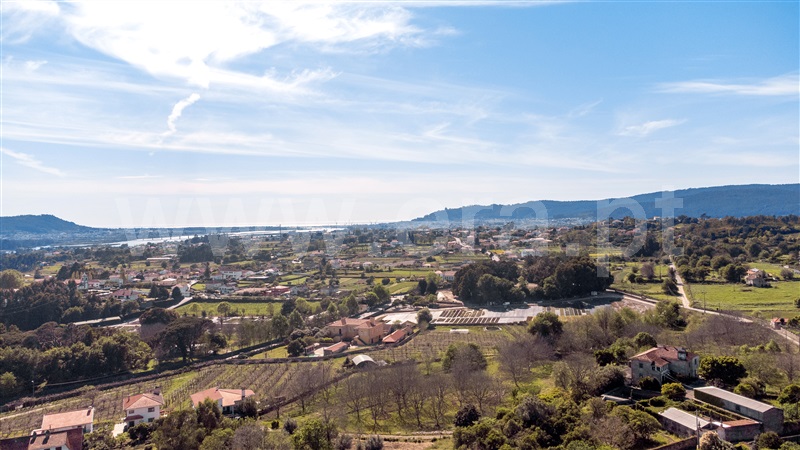 Lote  Viana do Castelo, Cardielos e Serreleis - 1319390 - 10