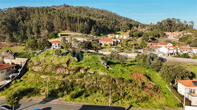 Lote / Viana do Castelo, Cardielos e Serreleis
