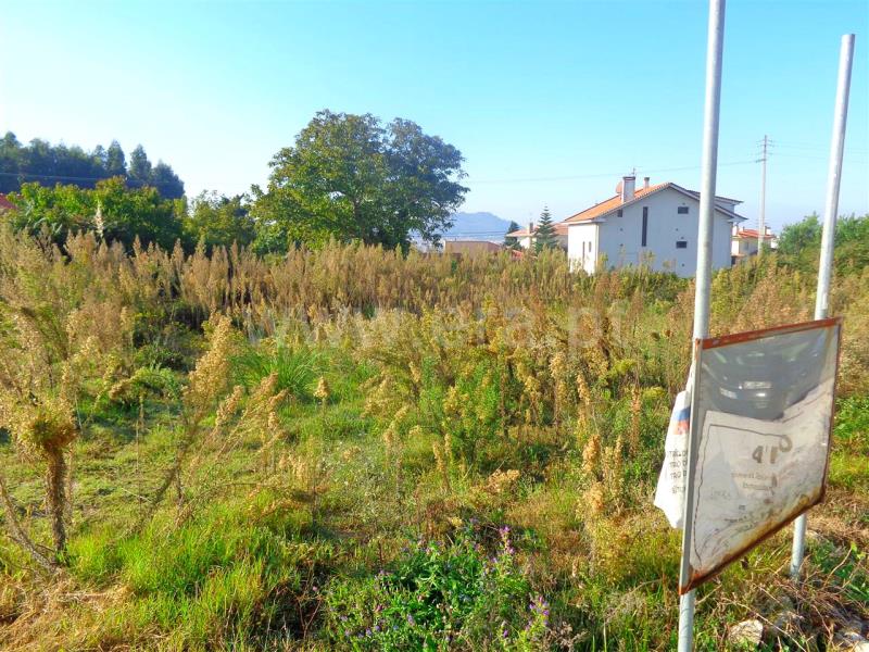Lote  Viana do Castelo, Santa Marta de Portuzelo - 681476 - 4