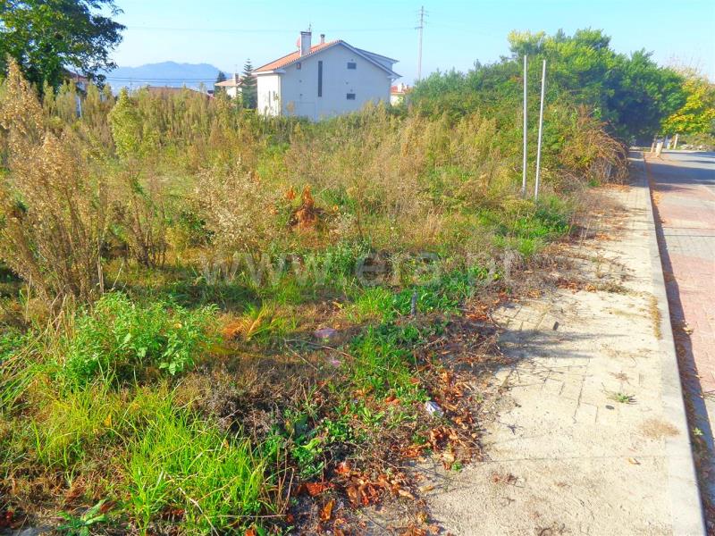 Lote  Viana do Castelo, Santa Marta de Portuzelo - 681476 - 5