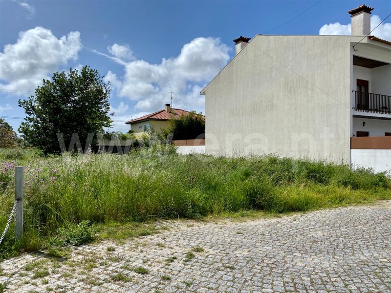 Lote  Viana do Castelo, Serreleis - 1087283 - 3