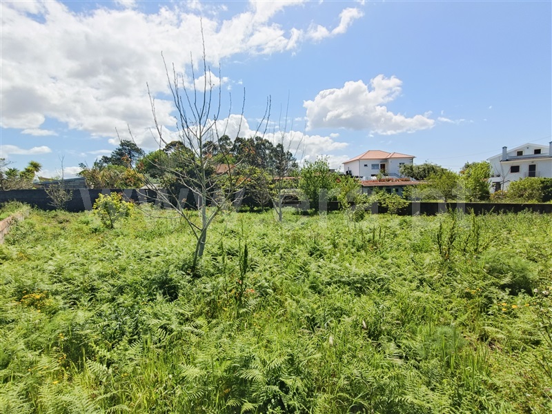 Lote / Viana do Castelo, Serreleis