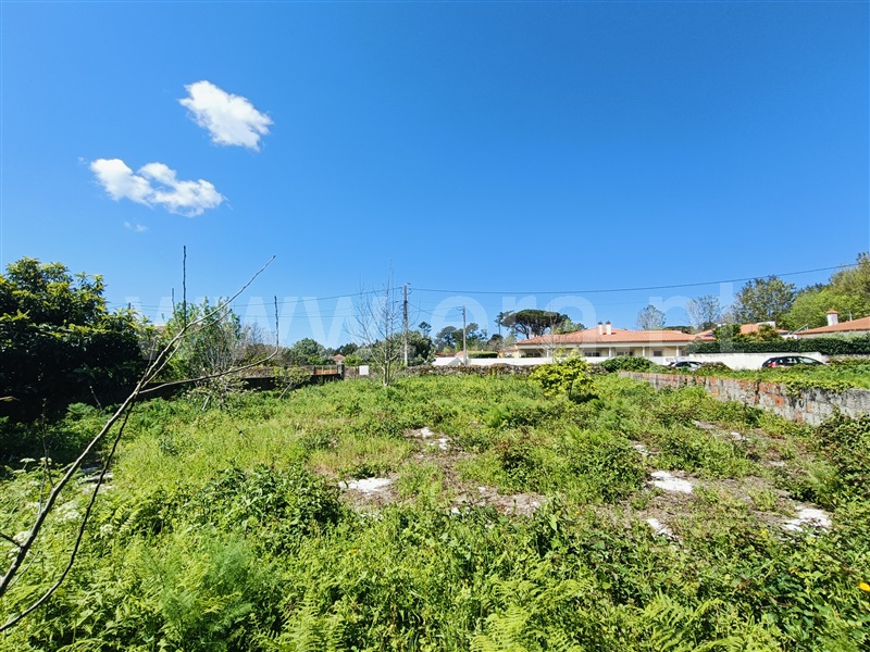 Lote  Viana do Castelo, Cardielos e Serreleis - 1475731 - 3
