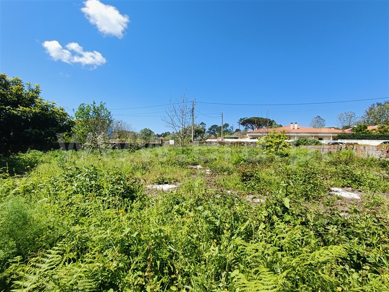 Lote  Viana do Castelo, Cardielos e Serreleis - 1475731 - 4