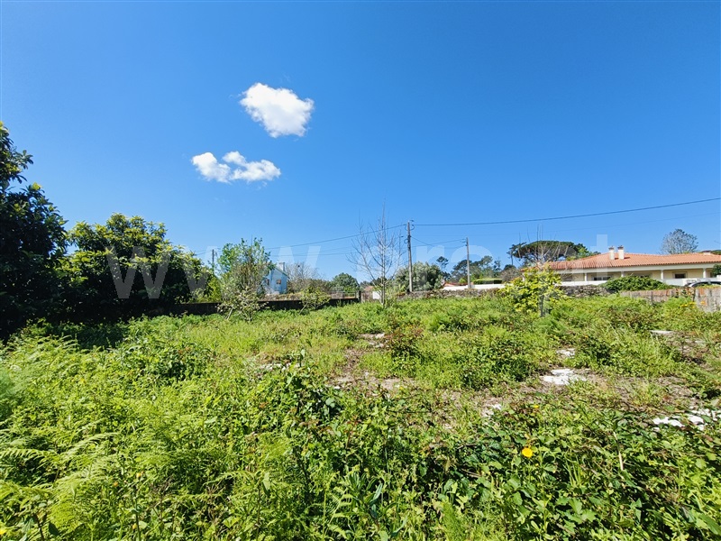 Lote  Viana do Castelo, Cardielos e Serreleis - 1475731 - 5