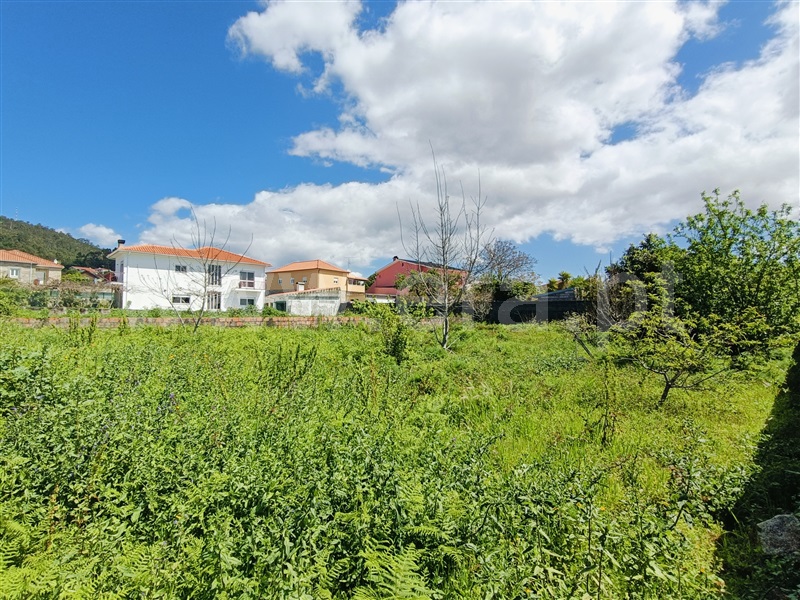 Lote  Viana do Castelo, Cardielos e Serreleis - 1475731 - 9