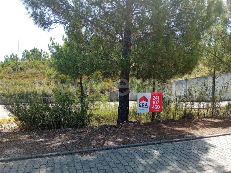Lote / Vila de Rei, Vila de Rei