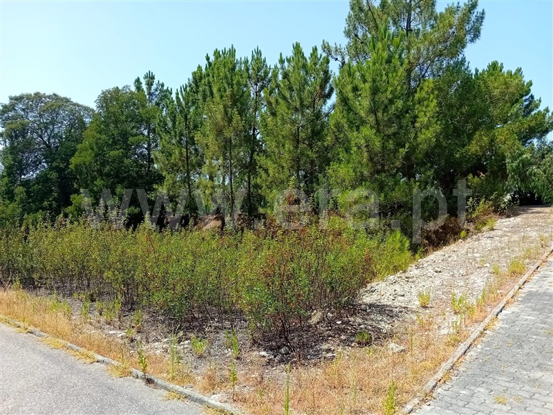 Lote  Vila de Rei - 1342617 - 2